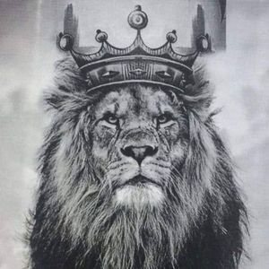 Meet your Posher, Saeed